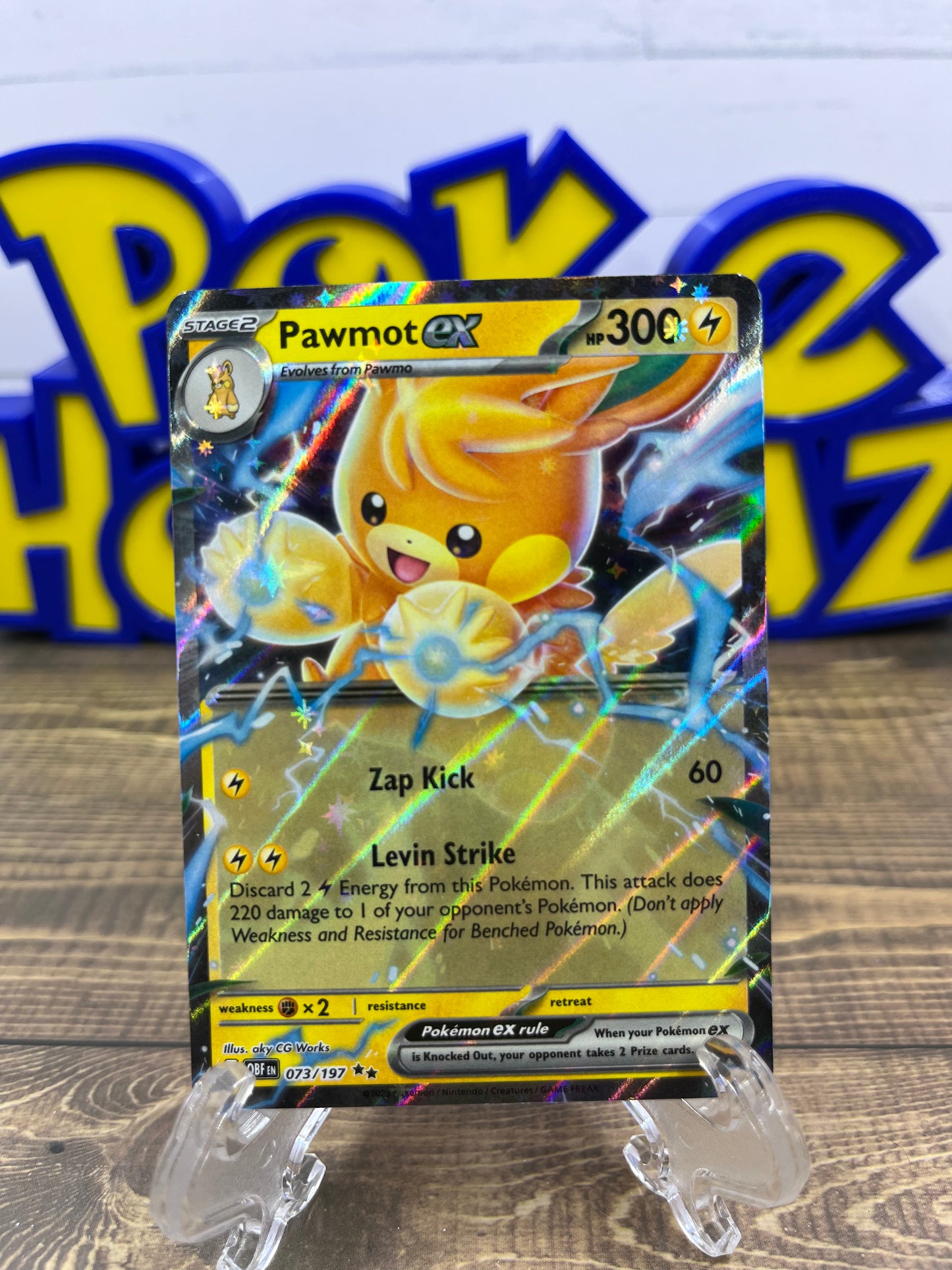 Pawmot EX 073/197