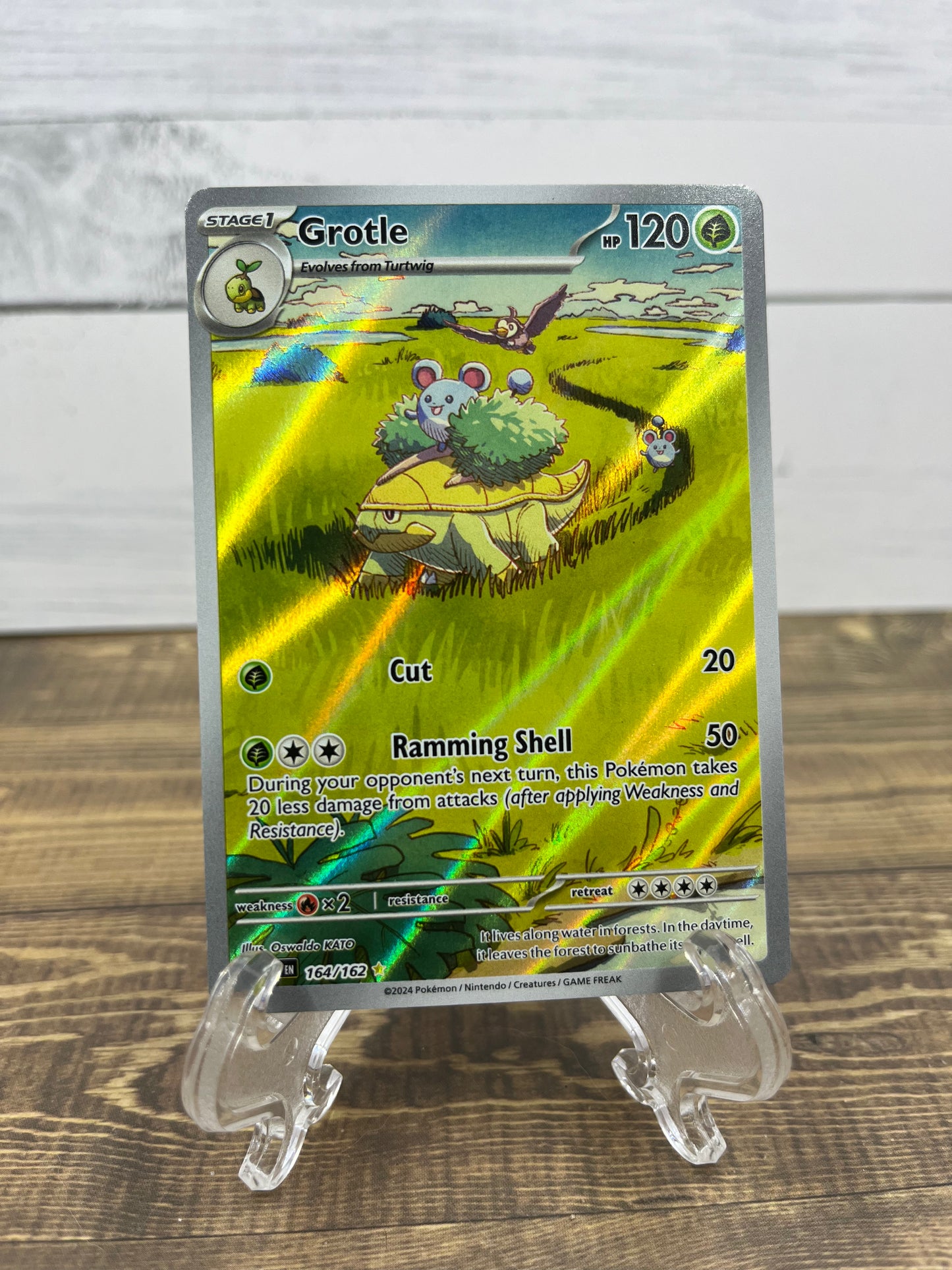 Grotle - 164/162