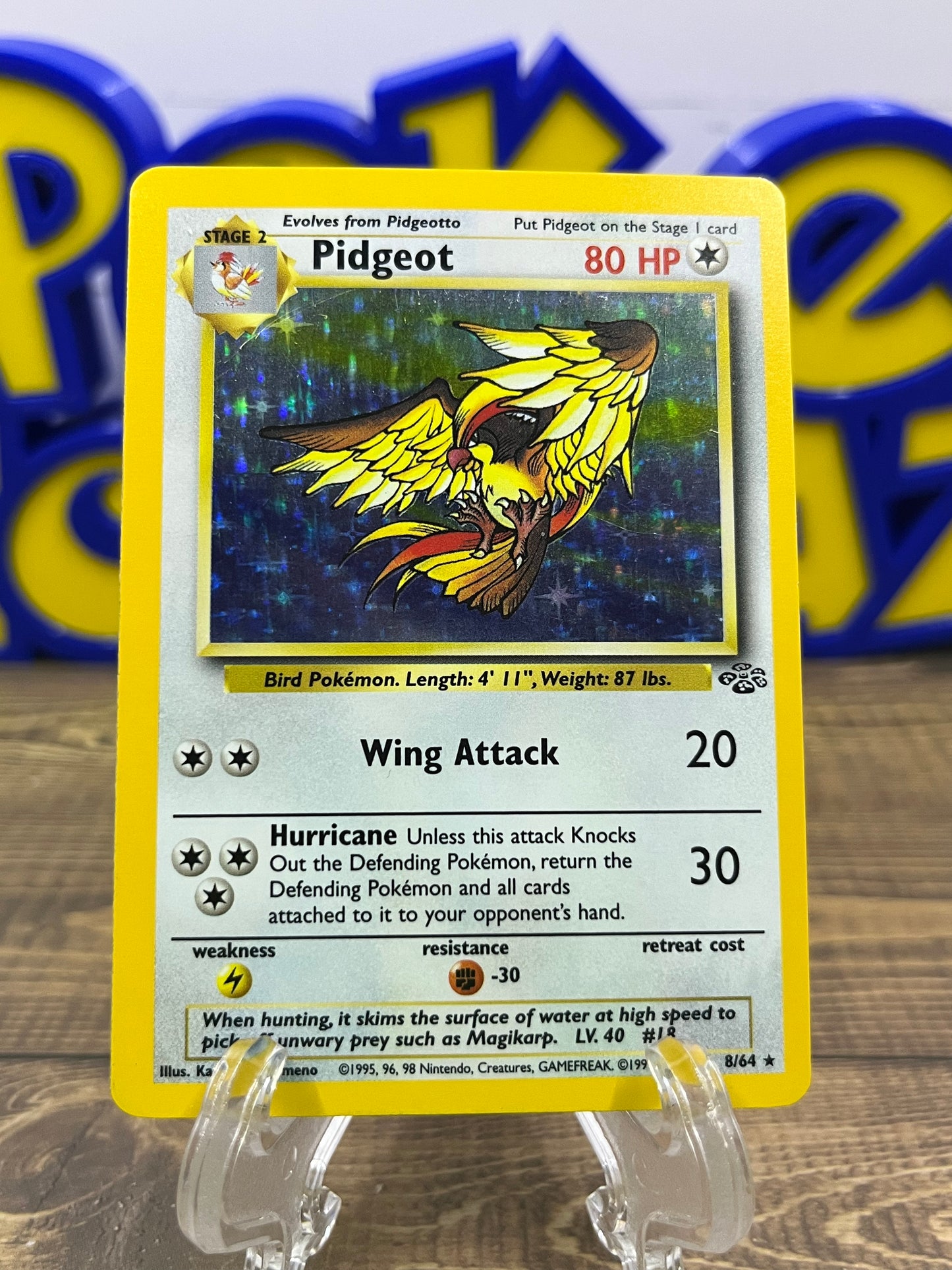 Pidgeot (Holo) - 8/64