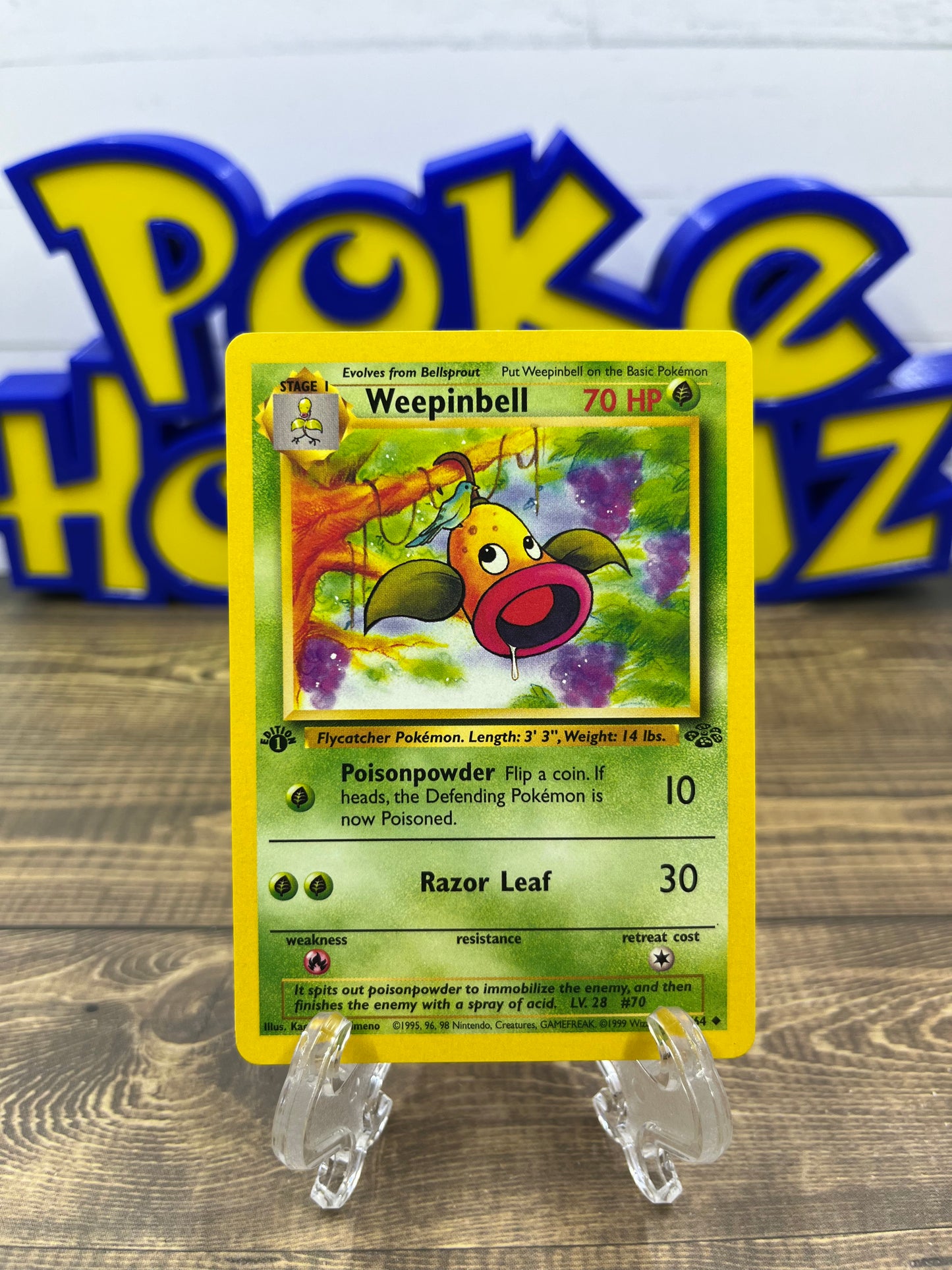 Weepinbell (First Edition) - 48/64